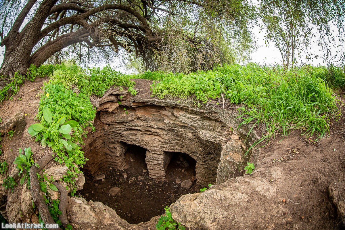 Пещеры Афека (меарот афека) Кладбище самаритян, поле нарциссов и парк восстанавливающихся деревьев | Afeka Caves | מערות אפקה | LookAtIsrael.com - Фото путешествия по Израилю