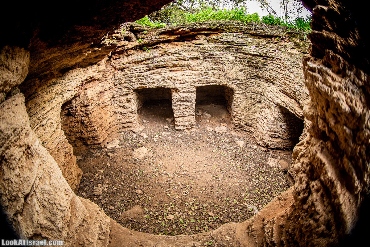 Пещеры Афека (меарот афека) Кладбище самаритян, поле нарциссов и парк восстанавливающихся деревьев | Afeka Caves | מערות אפקה | LookAtIsrael.com - Фото путешествия по Израилю