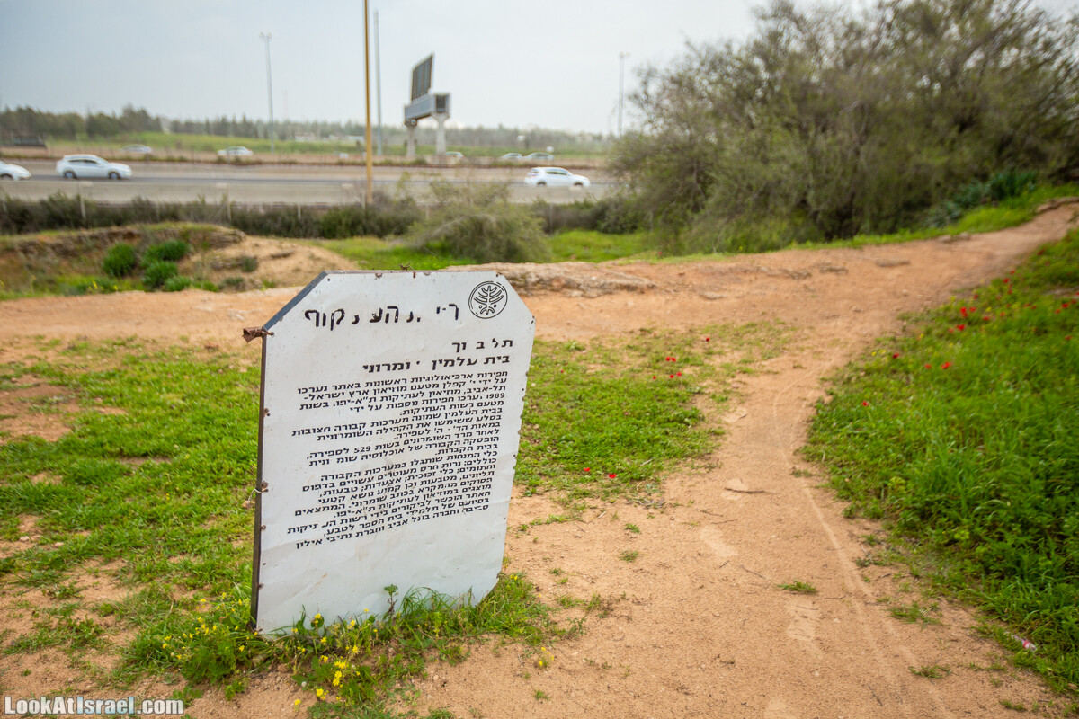 Пещеры Афека (меарот афека) Кладбище самаритян, поле нарциссов и парк восстанавливающихся деревьев | Afeka Caves | מערות אפקה | LookAtIsrael.com - Фото путешествия по Израилю