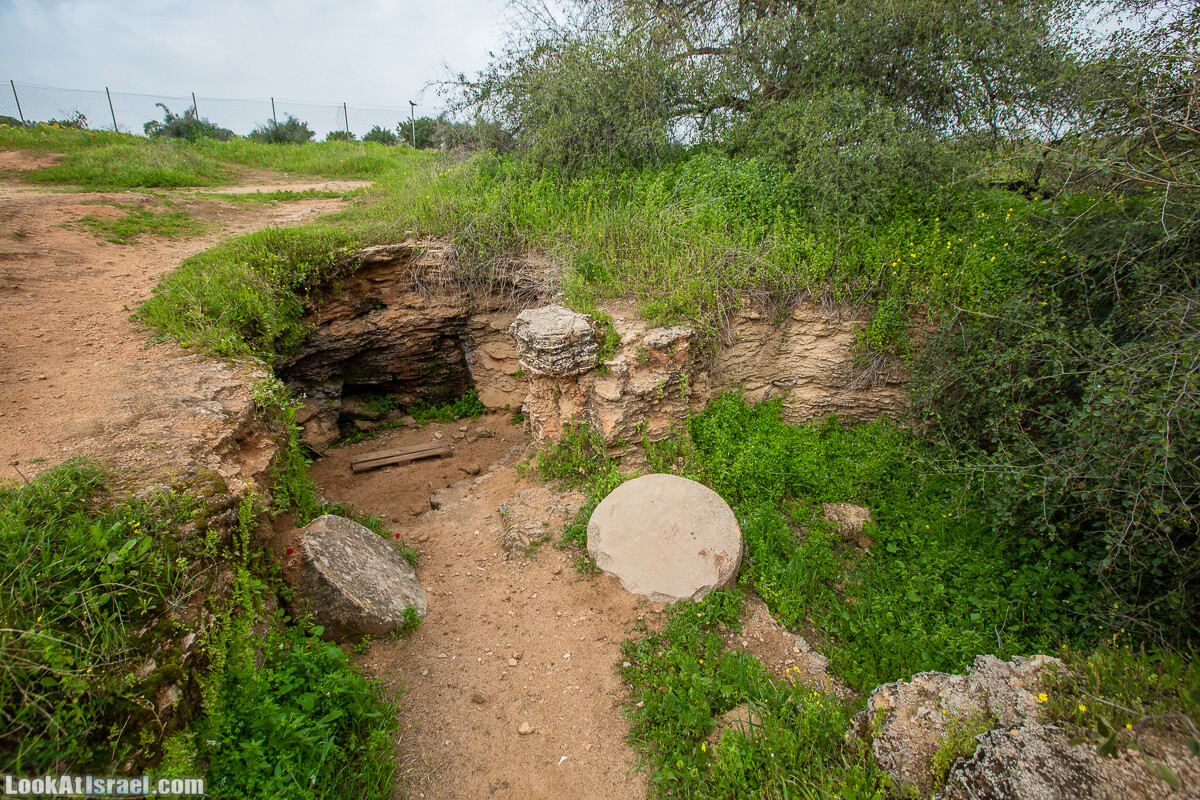 Пещеры Афека (меарот афека) Кладбище самаритян, поле нарциссов и парк восстанавливающихся деревьев | Afeka Caves | מערות אפקה | LookAtIsrael.com - Фото путешествия по Израилю