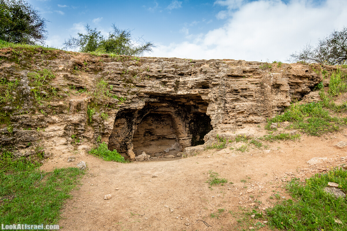 Пещеры Афека (меарот афека) Кладбище самаритян, поле нарциссов и парк восстанавливающихся деревьев | Afeka Caves | מערות אפקה | LookAtIsrael.com - Фото путешествия по Израилю