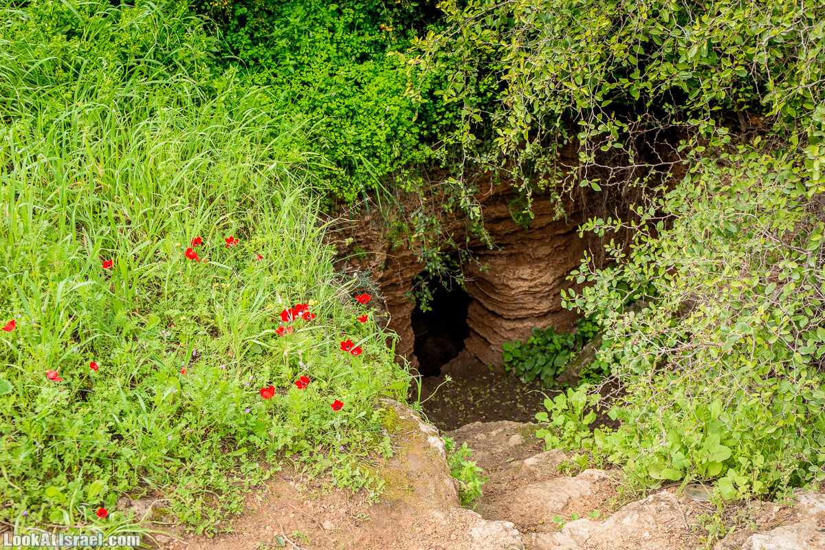 Пещеры Афека (меарот афека) Кладбище самаритян, поле нарциссов и парк восстанавливающихся деревьев | Afeka Caves | מערות אפקה | LookAtIsrael.com - Фото путешествия по Израилю
