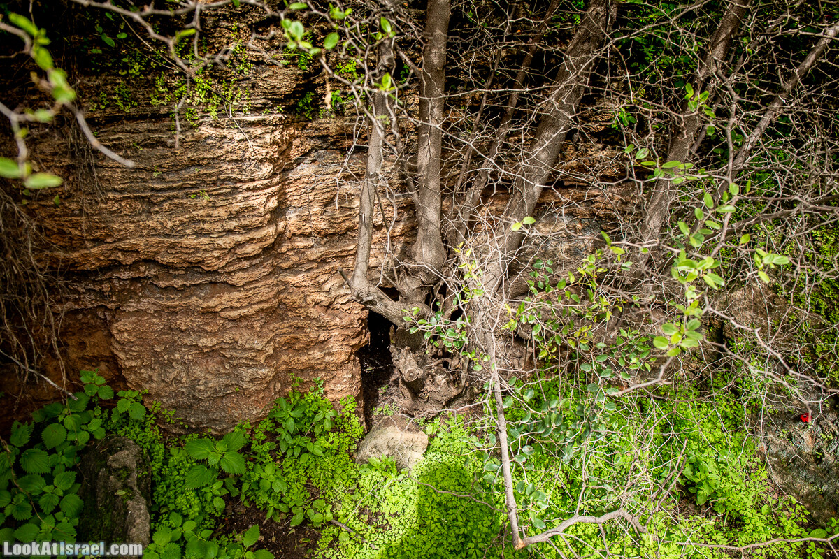Пещеры Афека (меарот афека) Кладбище самаритян, поле нарциссов и парк восстанавливающихся деревьев | Afeka Caves | מערות אפקה | LookAtIsrael.com - Фото путешествия по Израилю