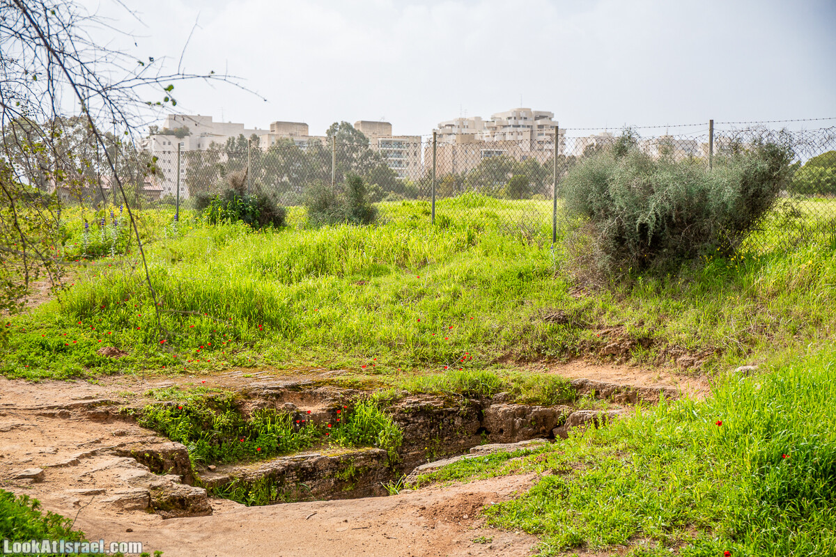 Пещеры Афека (меарот афека) Кладбище самаритян, поле нарциссов и парк восстанавливающихся деревьев | Afeka Caves | מערות אפקה | LookAtIsrael.com - Фото путешествия по Израилю