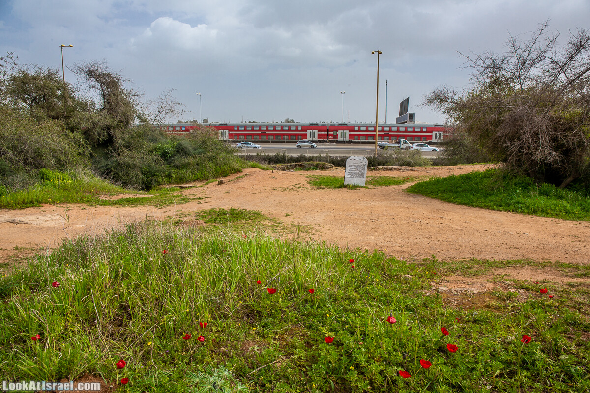 Пещеры Афека (меарот афека) Кладбище самаритян, поле нарциссов и парк восстанавливающихся деревьев | Afeka Caves | מערות אפקה | LookAtIsrael.com - Фото путешествия по Израилю