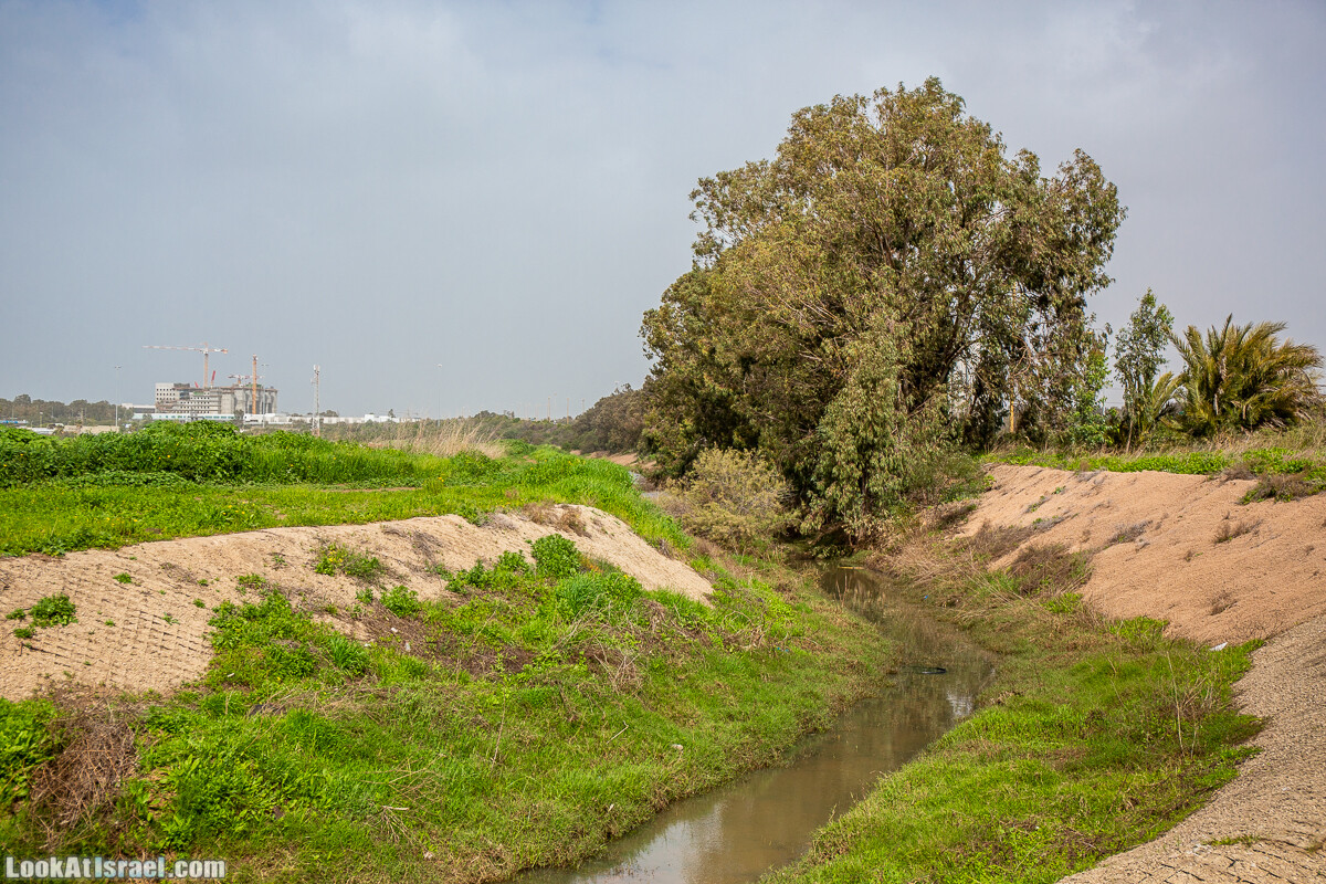 Пещеры Афека (меарот афека) Кладбище самаритян, поле нарциссов и парк восстанавливающихся деревьев | Afeka Caves | מערות אפקה | LookAtIsrael.com - Фото путешествия по Израилю