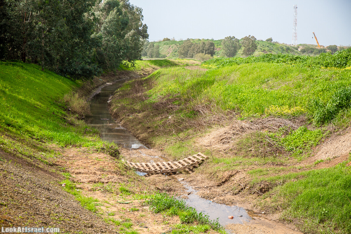 Пещеры Афека (меарот афека) Кладбище самаритян, поле нарциссов и парк восстанавливающихся деревьев | Afeka Caves | מערות אפקה | LookAtIsrael.com - Фото путешествия по Израилю