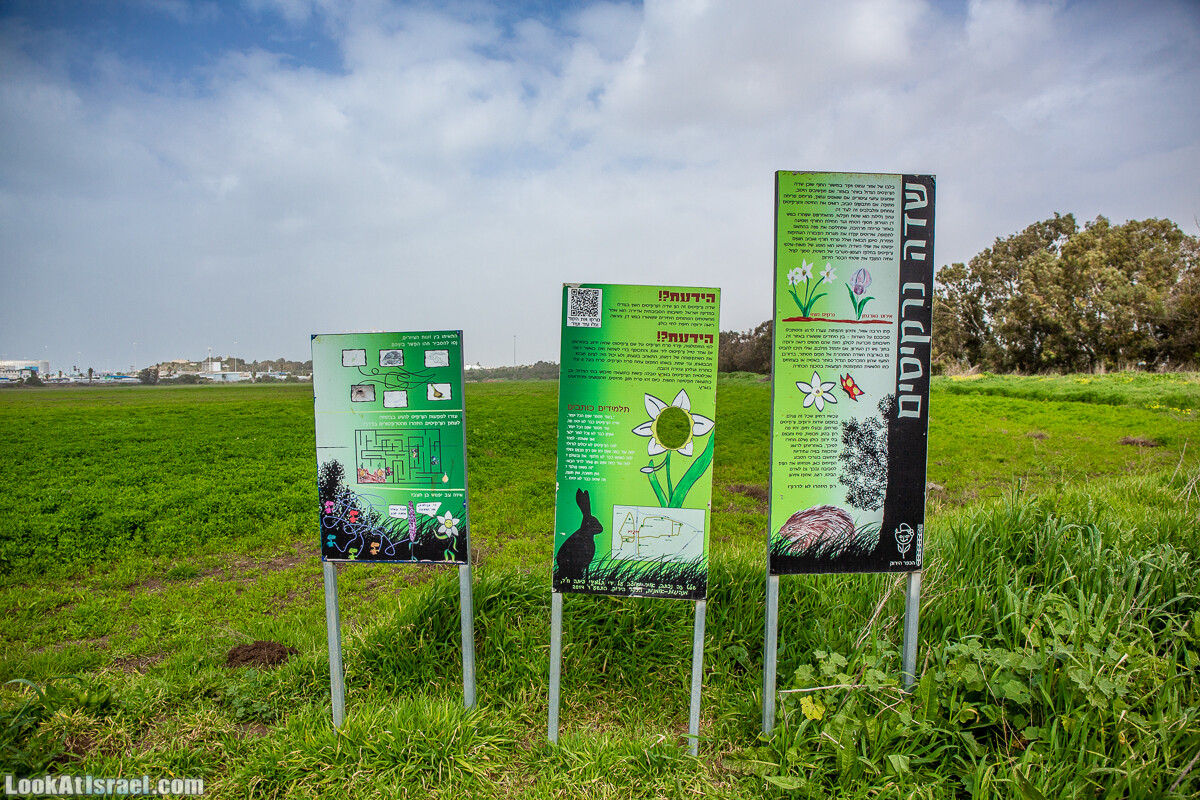 Пещеры Афека (меарот афека) Кладбище самаритян, поле нарциссов и парк восстанавливающихся деревьев | Afeka Caves | מערות אפקה | LookAtIsrael.com - Фото путешествия по Израилю