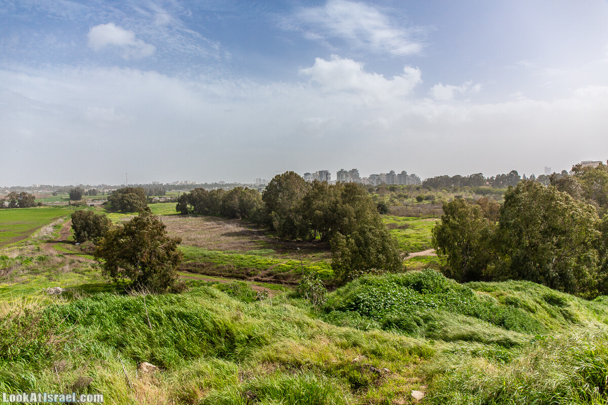 Пещеры Афека (меарот афека) Кладбище самаритян, поле нарциссов и парк восстанавливающихся деревьев | Afeka Caves | מערות אפקה | LookAtIsrael.com - Фото путешествия по Израилю