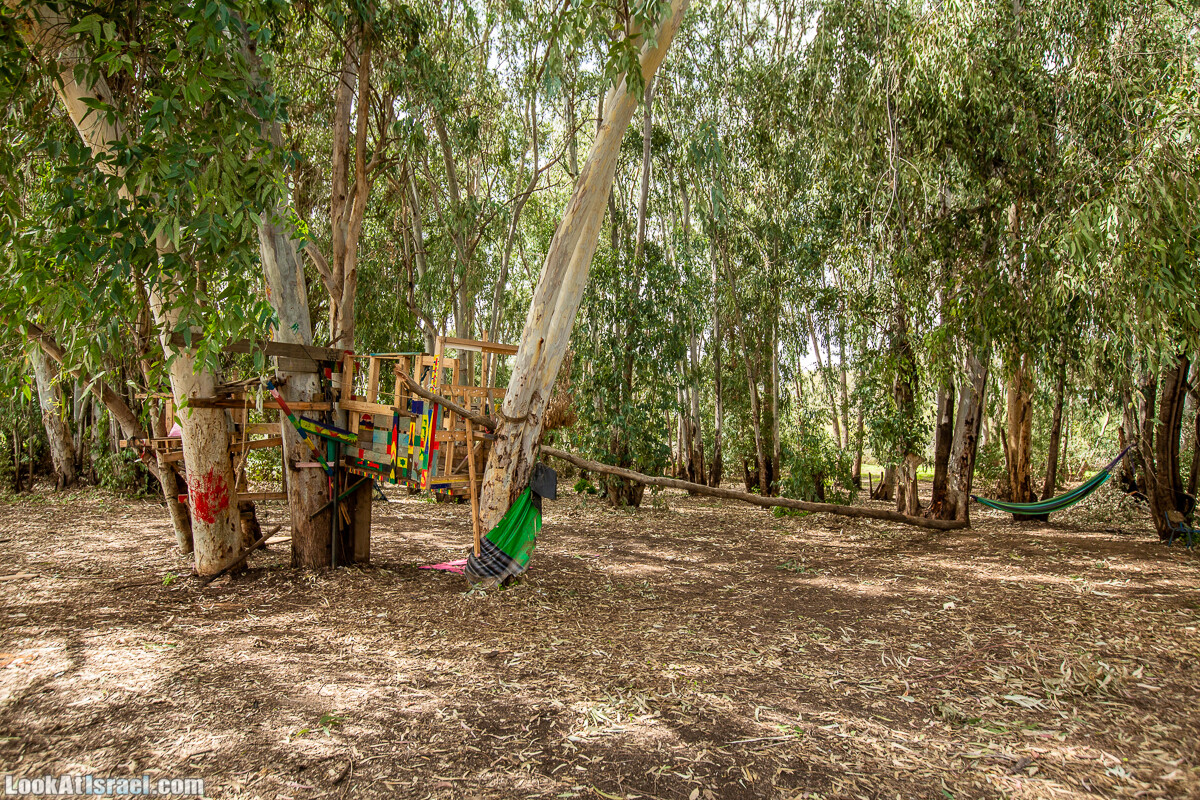 Пещеры Афека (меарот афека) Кладбище самаритян, поле нарциссов и парк восстанавливающихся деревьев | Afeka Caves | מערות אפקה | LookAtIsrael.com - Фото путешествия по Израилю