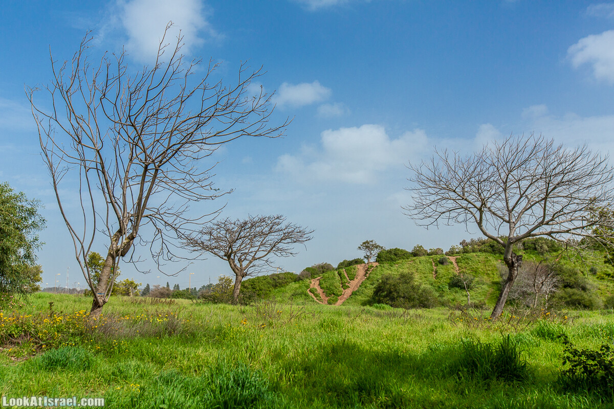 Пещеры Афека (меарот афека) Кладбище самаритян, поле нарциссов и парк восстанавливающихся деревьев | Afeka Caves | מערות אפקה | LookAtIsrael.com - Фото путешествия по Израилю