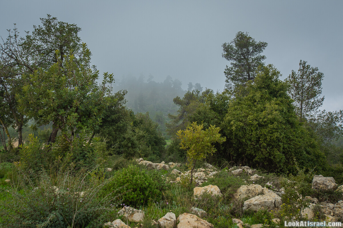 Путь Эммауса - по иерусалимским горам в долину Аялон | Emaus way | דרך אמאוס | LookAtIsrael.com - Фото путешествия по Израилю