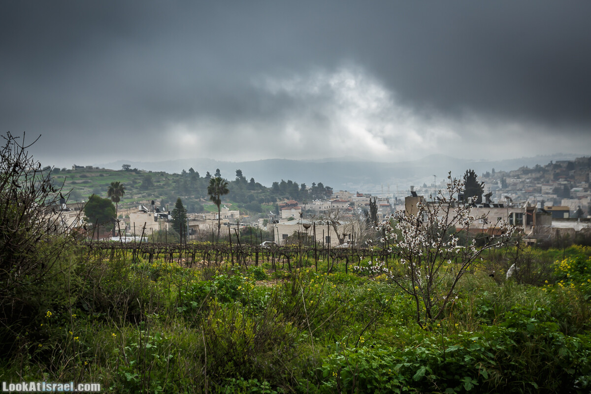Путь Эммауса - по иерусалимским горам в долину Аялон | Emaus way | דרך אמאוס | LookAtIsrael.com - Фото путешествия по Израилю