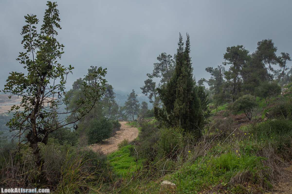 Путь Эммауса - по иерусалимским горам в долину Аялон | Emaus way | דרך אמאוס | LookAtIsrael.com - Фото путешествия по Израилю