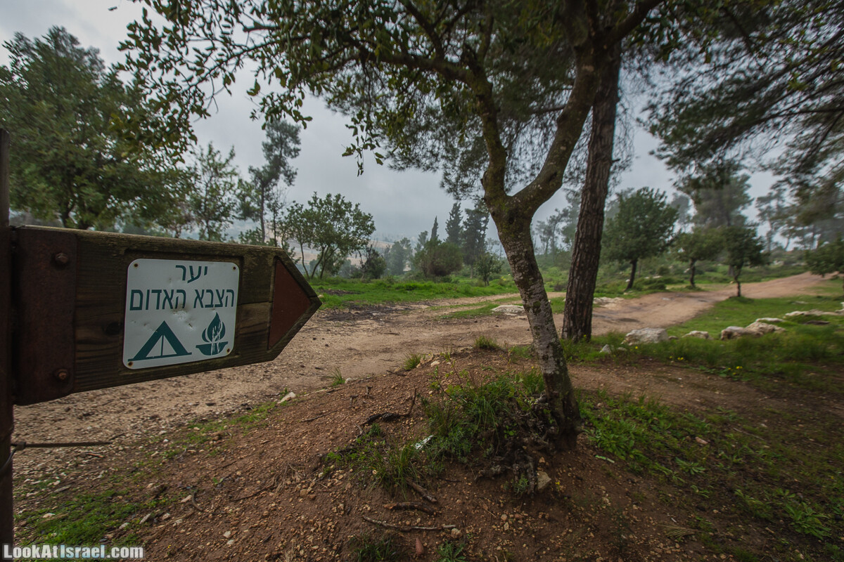Путь Эммауса - по иерусалимским горам в долину Аялон | Emaus way | דרך אמאוס | LookAtIsrael.com - Фото путешествия по Израилю