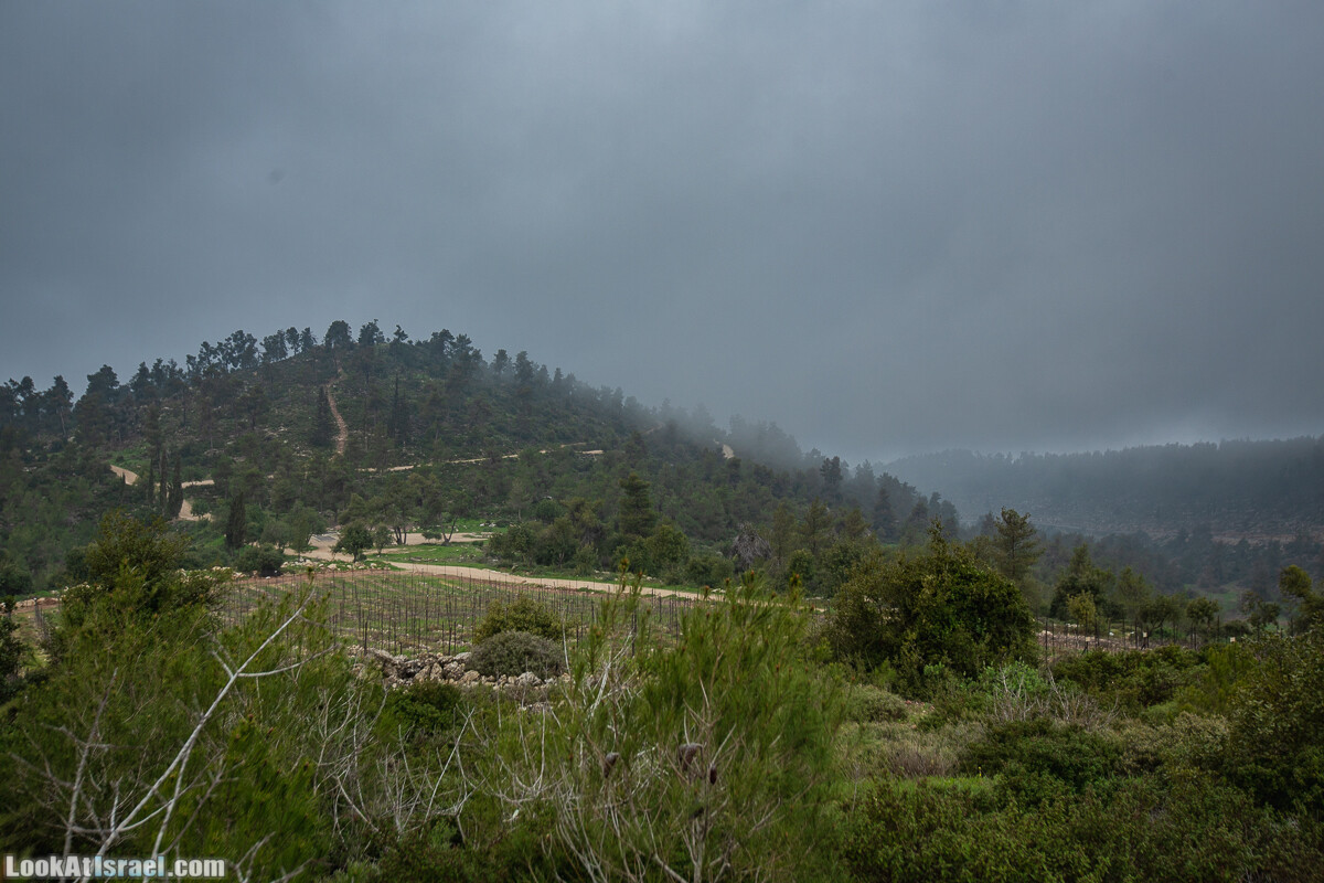 Путь Эммауса - по иерусалимским горам в долину Аялон | Emaus way | דרך אמאוס | LookAtIsrael.com - Фото путешествия по Израилю