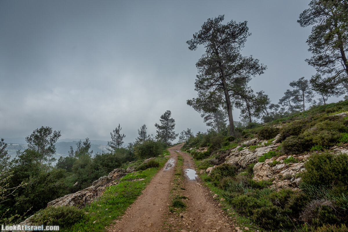Путь Эммауса - по иерусалимским горам в долину Аялон | Emaus way | דרך אמאוס | LookAtIsrael.com - Фото путешествия по Израилю