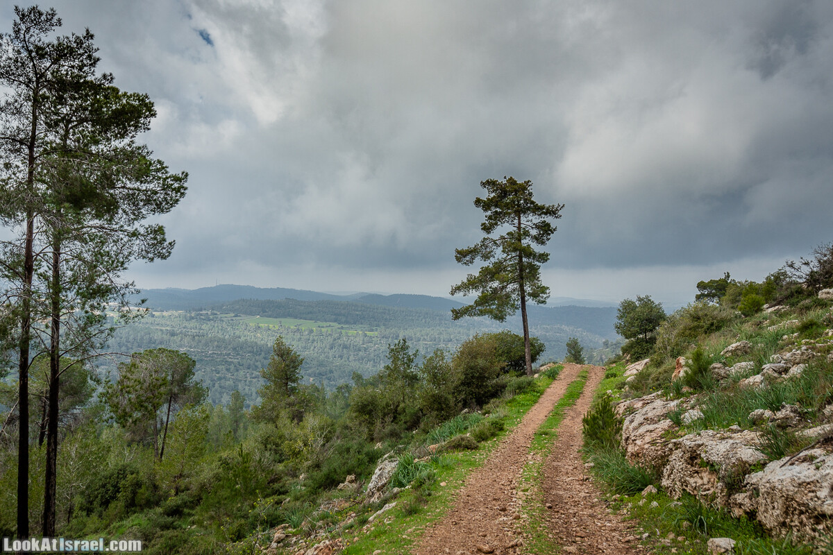 Путь Эммауса - по иерусалимским горам в долину Аялон | Emaus way | דרך אמאוס | LookAtIsrael.com - Фото путешествия по Израилю
