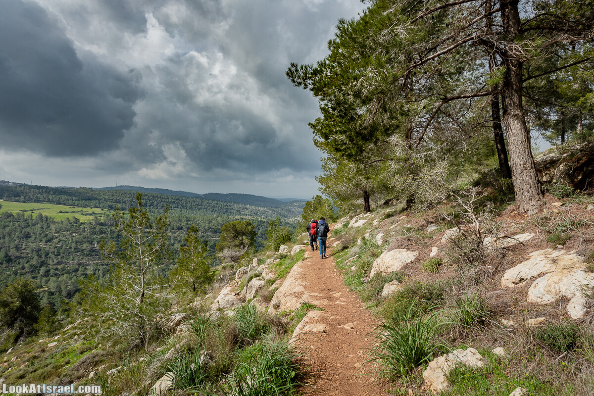Путь Эммауса - по иерусалимским горам в долину Аялон | Emaus way | דרך אמאוס | LookAtIsrael.com - Фото путешествия по Израилю