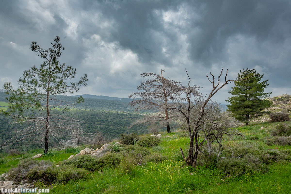 Путь Эммауса - по иерусалимским горам в долину Аялон | Emaus way | דרך אמאוס | LookAtIsrael.com - Фото путешествия по Израилю