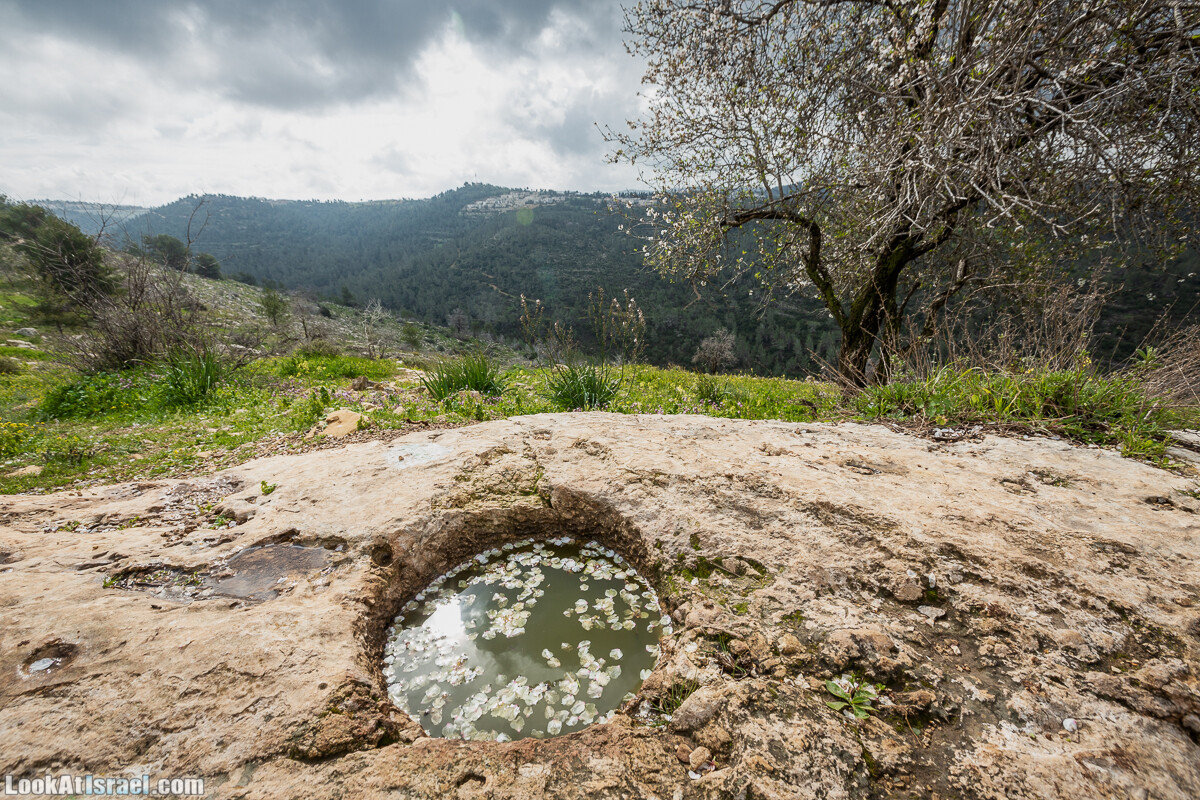 Путь Эммауса - по иерусалимским горам в долину Аялон | Emaus way | דרך אמאוס | LookAtIsrael.com - Фото путешествия по Израилю