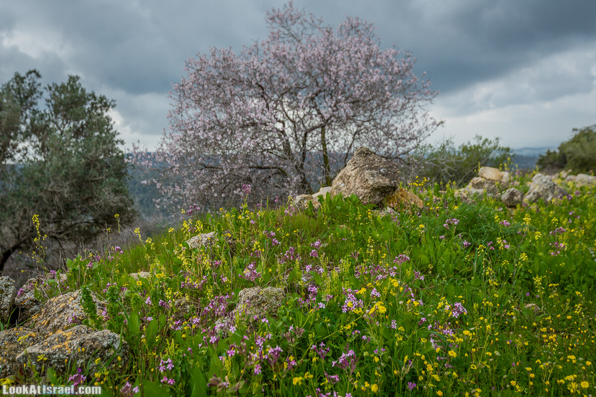Путь Эммауса - по иерусалимским горам в долину Аялон | Emaus way | דרך אמאוס | LookAtIsrael.com - Фото путешествия по Израилю