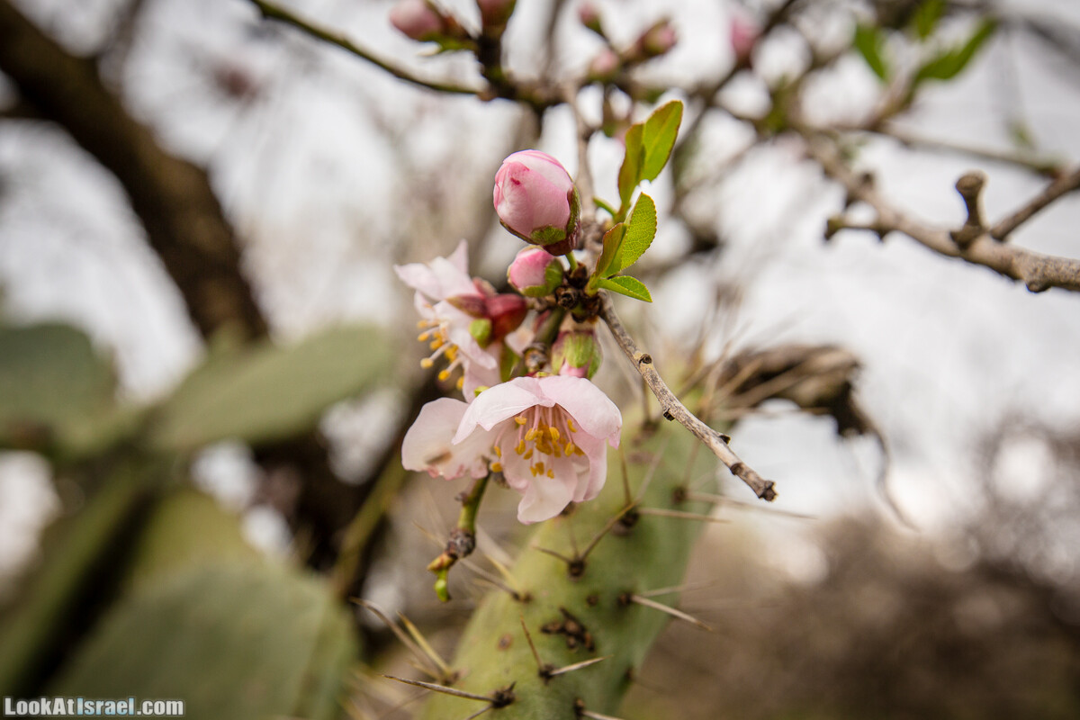 Путь Эммауса - по иерусалимским горам в долину Аялон | Emaus way | דרך אמאוס | LookAtIsrael.com - Фото путешествия по Израилю