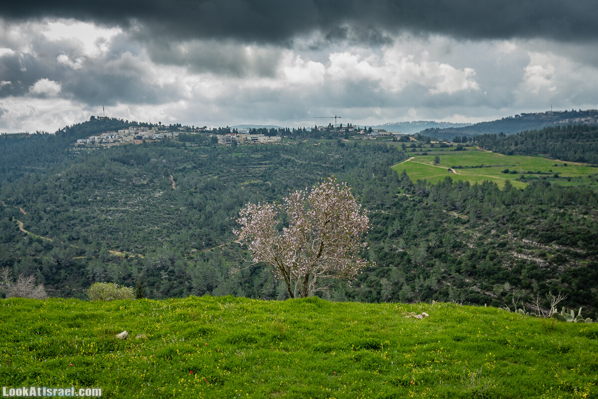 Путь Эммауса - по иерусалимским горам в долину Аялон | Emaus way | דרך אמאוס | LookAtIsrael.com - Фото путешествия по Израилю