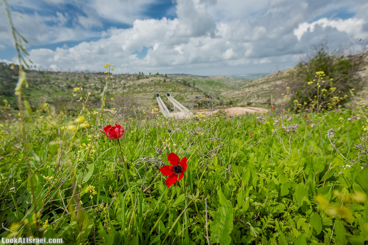 Путь Эммауса - по иерусалимским горам в долину Аялон | Emaus way | דרך אמאוס | LookAtIsrael.com - Фото путешествия по Израилю