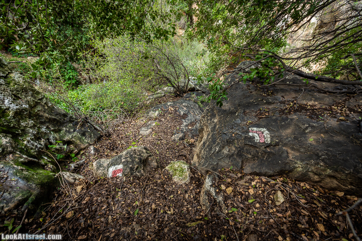Путь Эммауса - по иерусалимским горам в долину Аялон | Emaus way | דרך אמאוס | LookAtIsrael.com - Фото путешествия по Израилю