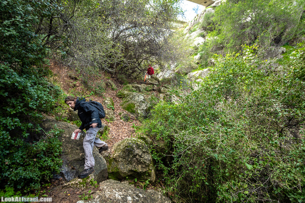 Путь Эммауса - по иерусалимским горам в долину Аялон | Emaus way | דרך אמאוס | LookAtIsrael.com - Фото путешествия по Израилю