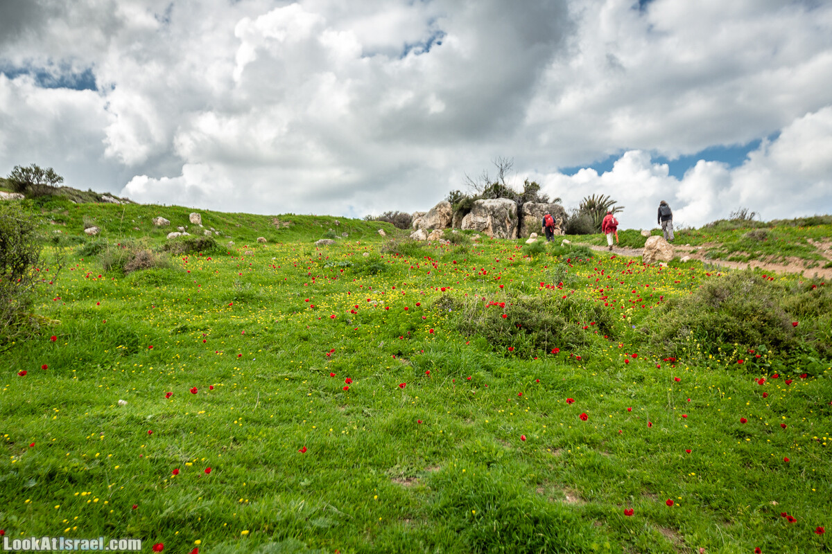 Путь Эммауса - по иерусалимским горам в долину Аялон | Emaus way | דרך אמאוס | LookAtIsrael.com - Фото путешествия по Израилю