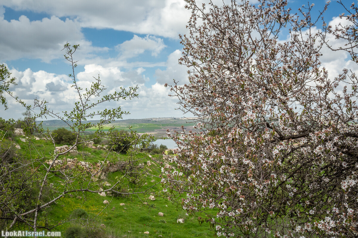 Путь Эммауса - по иерусалимским горам в долину Аялон | Emaus way | דרך אמאוס | LookAtIsrael.com - Фото путешествия по Израилю
