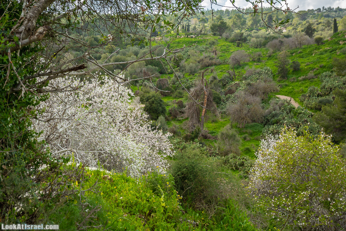 Путь Эммауса - по иерусалимским горам в долину Аялон | Emaus way | דרך אמאוס | LookAtIsrael.com - Фото путешествия по Израилю