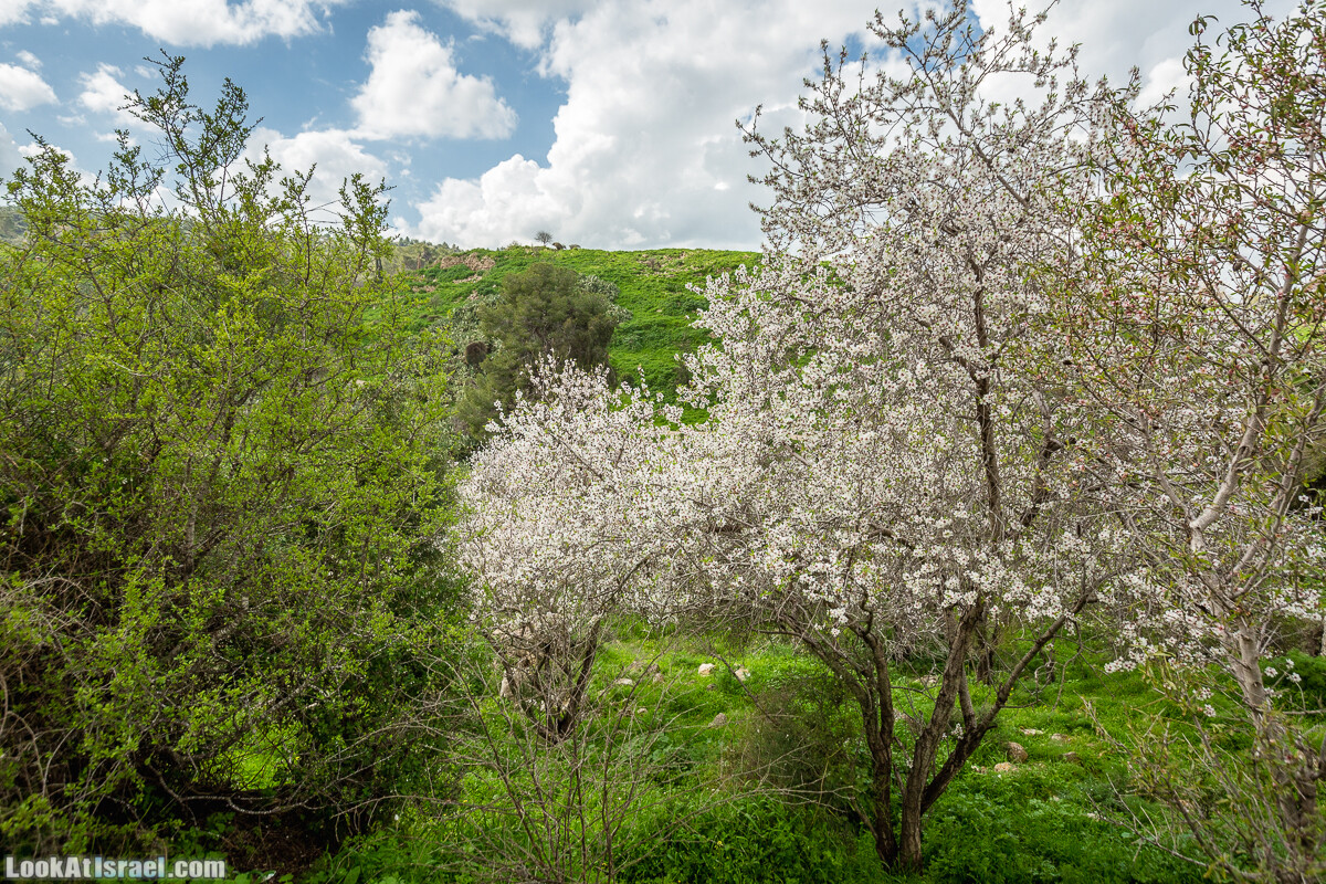 Путь Эммауса - по иерусалимским горам в долину Аялон | Emaus way | דרך אמאוס | LookAtIsrael.com - Фото путешествия по Израилю