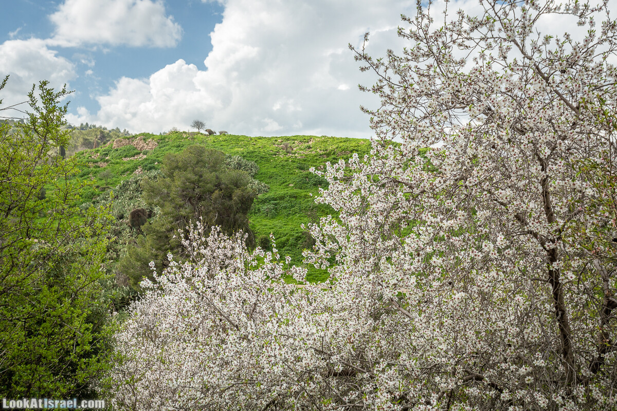 Путь Эммауса - по иерусалимским горам в долину Аялон | Emaus way | דרך אמאוס | LookAtIsrael.com - Фото путешествия по Израилю