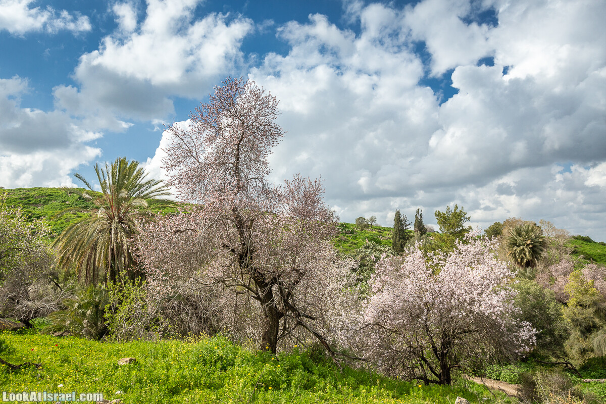 Путь Эммауса - по иерусалимским горам в долину Аялон | Emaus way | דרך אמאוס | LookAtIsrael.com - Фото путешествия по Израилю