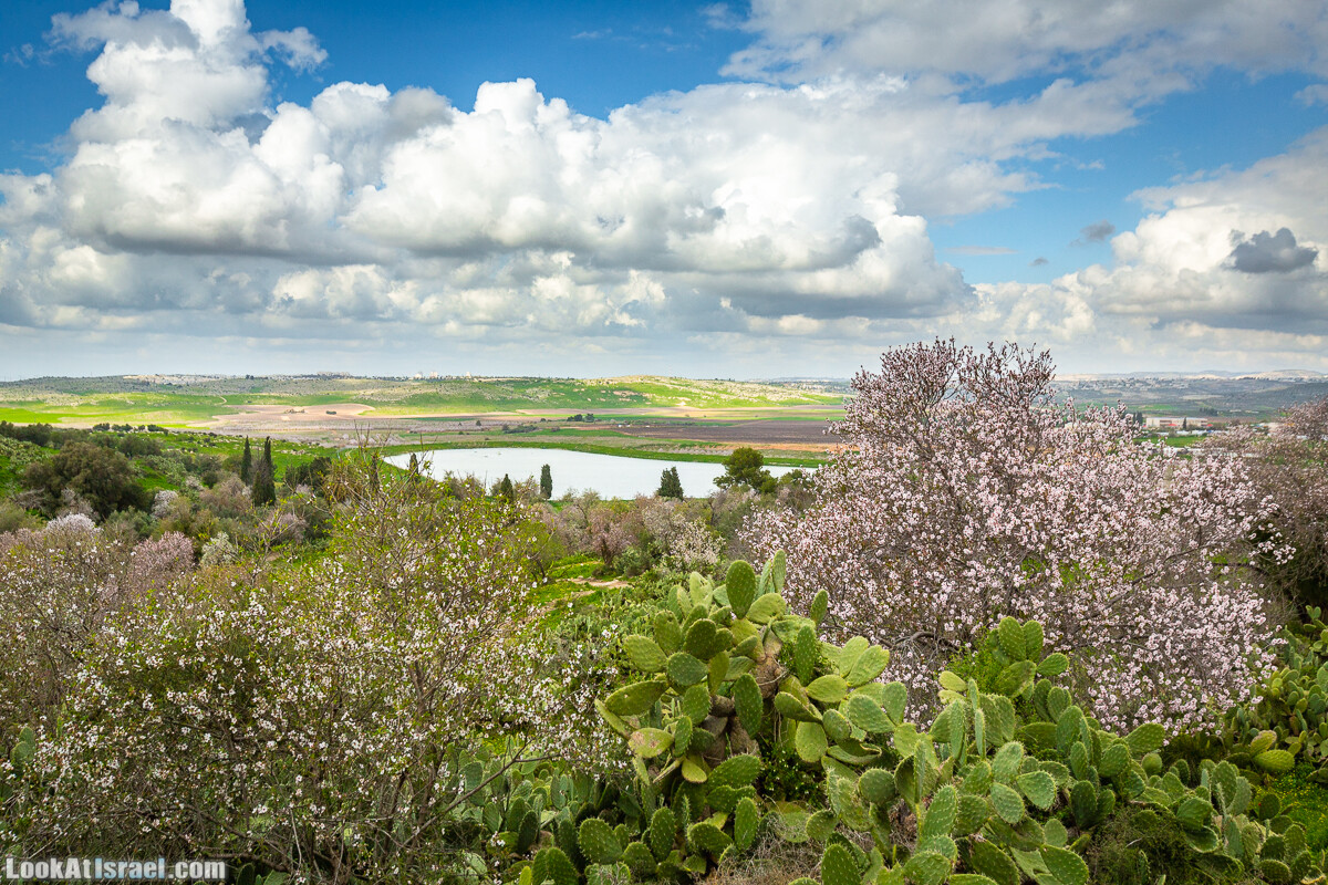 Путь Эммауса - по иерусалимским горам в долину Аялон | Emaus way | דרך אמאוס | LookAtIsrael.com - Фото путешествия по Израилю