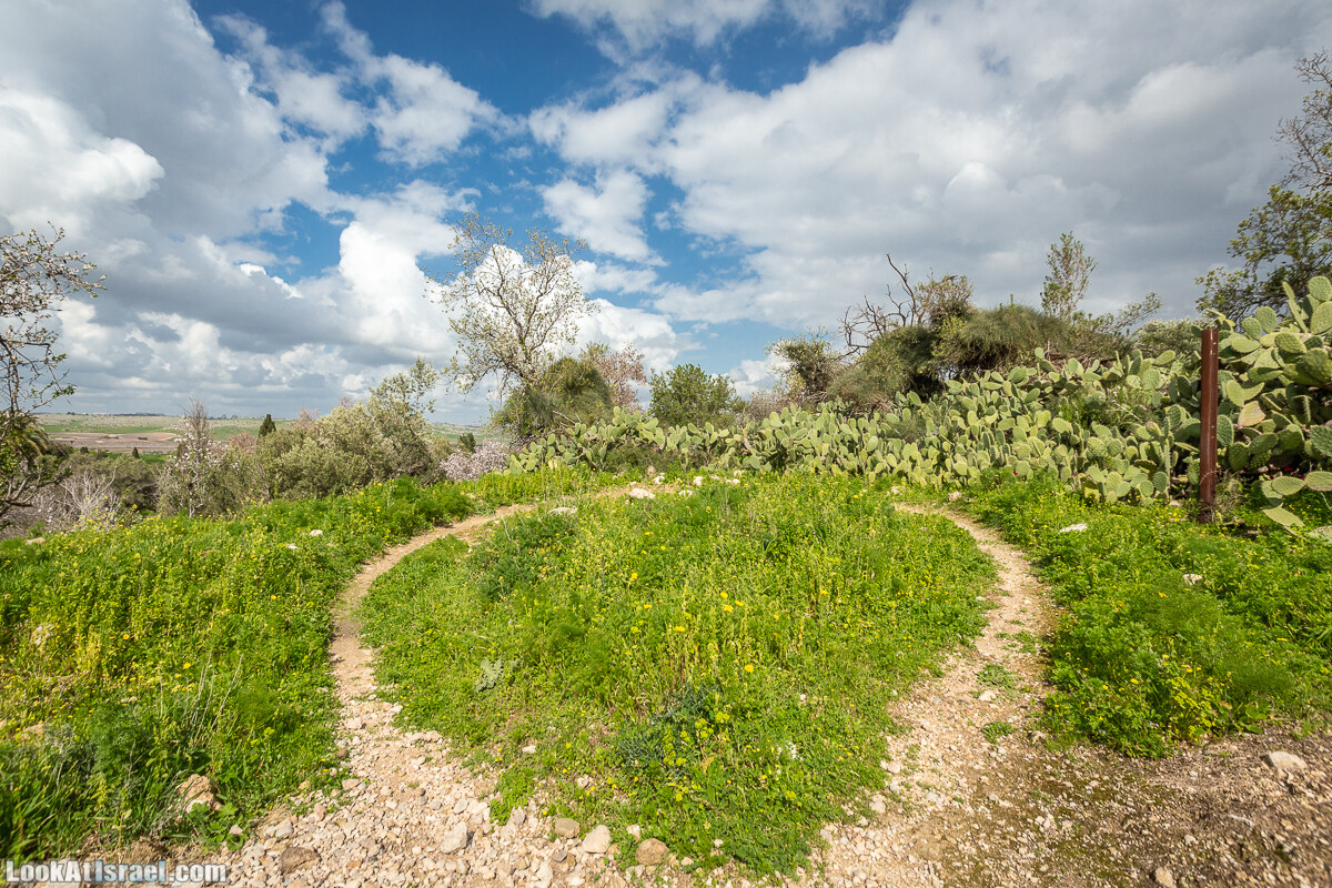 Путь Эммауса - по иерусалимским горам в долину Аялон | Emaus way | דרך אמאוס | LookAtIsrael.com - Фото путешествия по Израилю