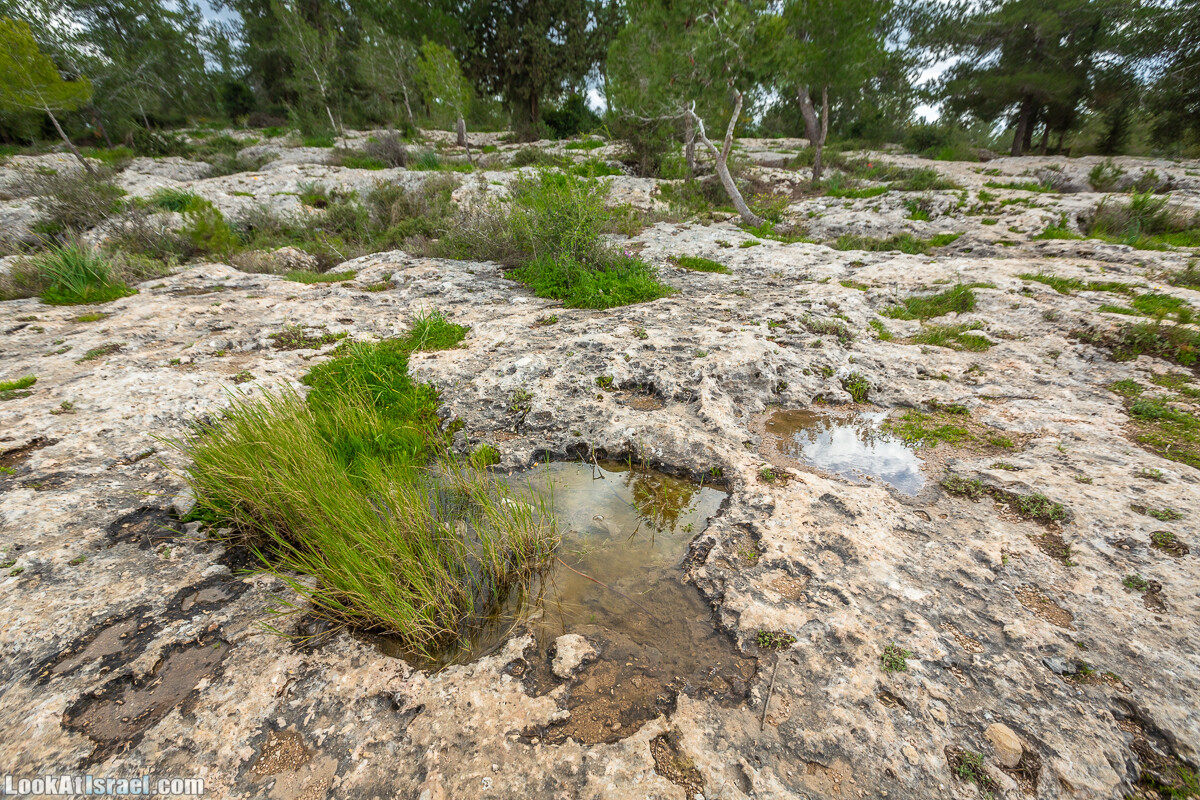 Путь Эммауса - по иерусалимским горам в долину Аялон | Emaus way | דרך אמאוס | LookAtIsrael.com - Фото путешествия по Израилю