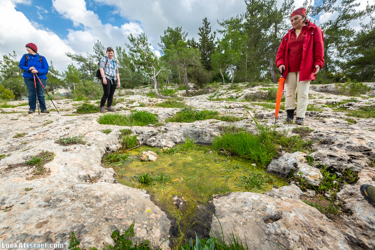 Путь Эммауса - по иерусалимским горам в долину Аялон | Emaus way | דרך אמאוס | LookAtIsrael.com - Фото путешествия по Израилю