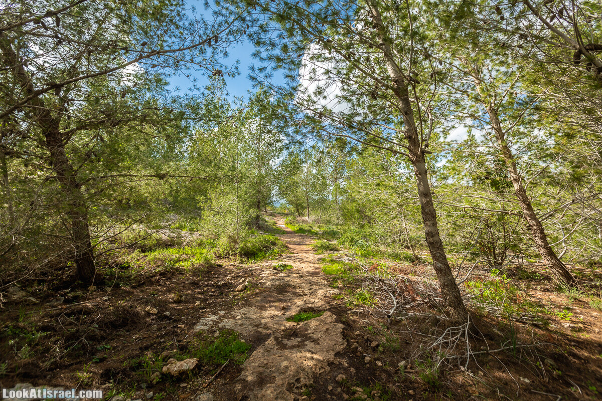 Путь Эммауса - по иерусалимским горам в долину Аялон | Emaus way | דרך אמאוס | LookAtIsrael.com - Фото путешествия по Израилю