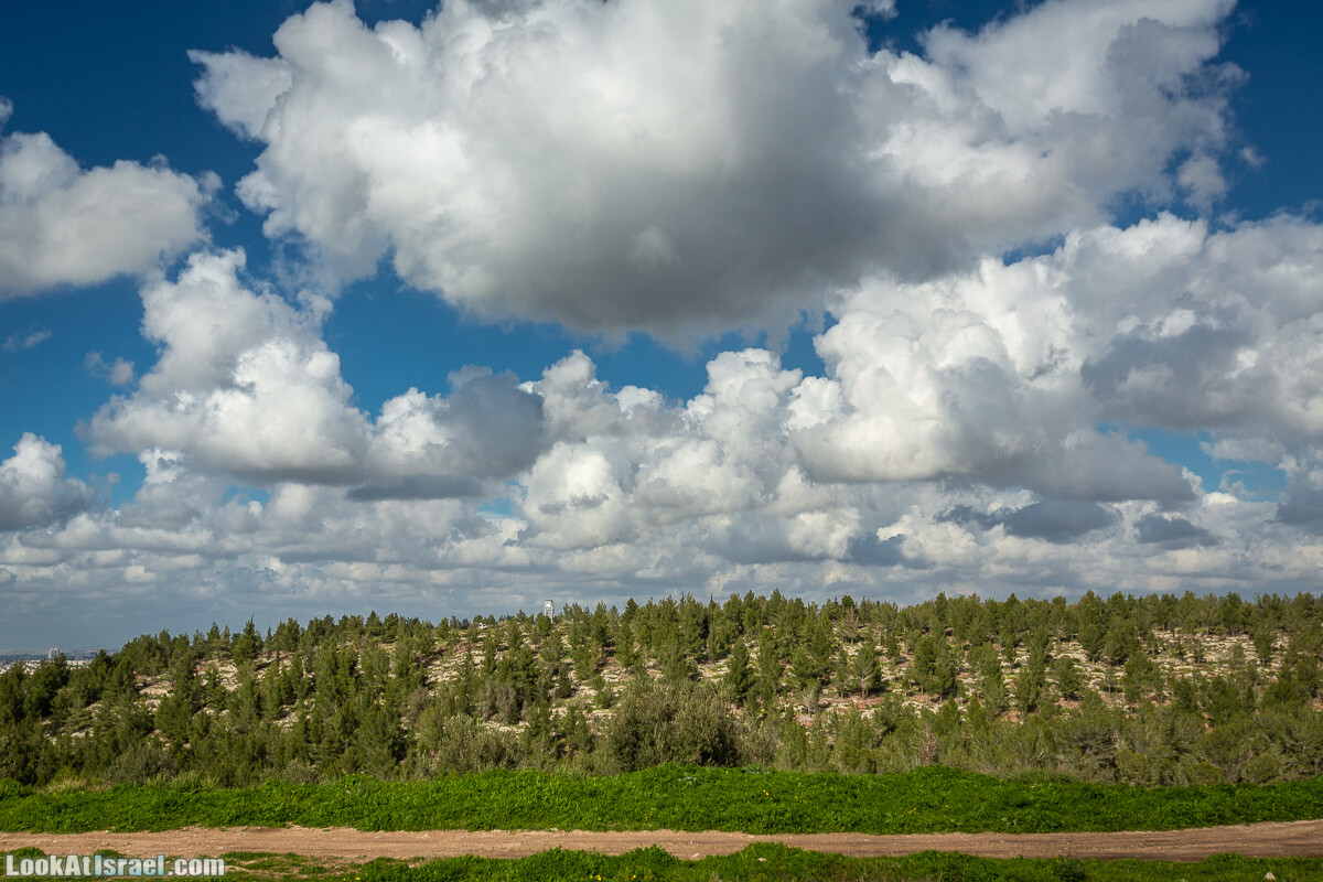 Путь Эммауса - по иерусалимским горам в долину Аялон | Emaus way | דרך אמאוס | LookAtIsrael.com - Фото путешествия по Израилю