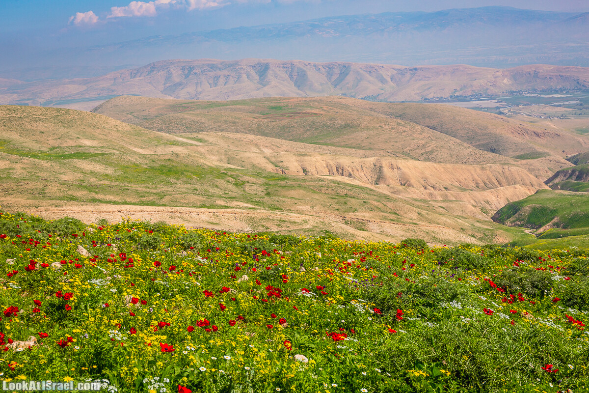 Путешествие по Иудейской пустыне на джипах к горе Сартаба | LookAtIsrael.com - Фото путешествия по Израилю