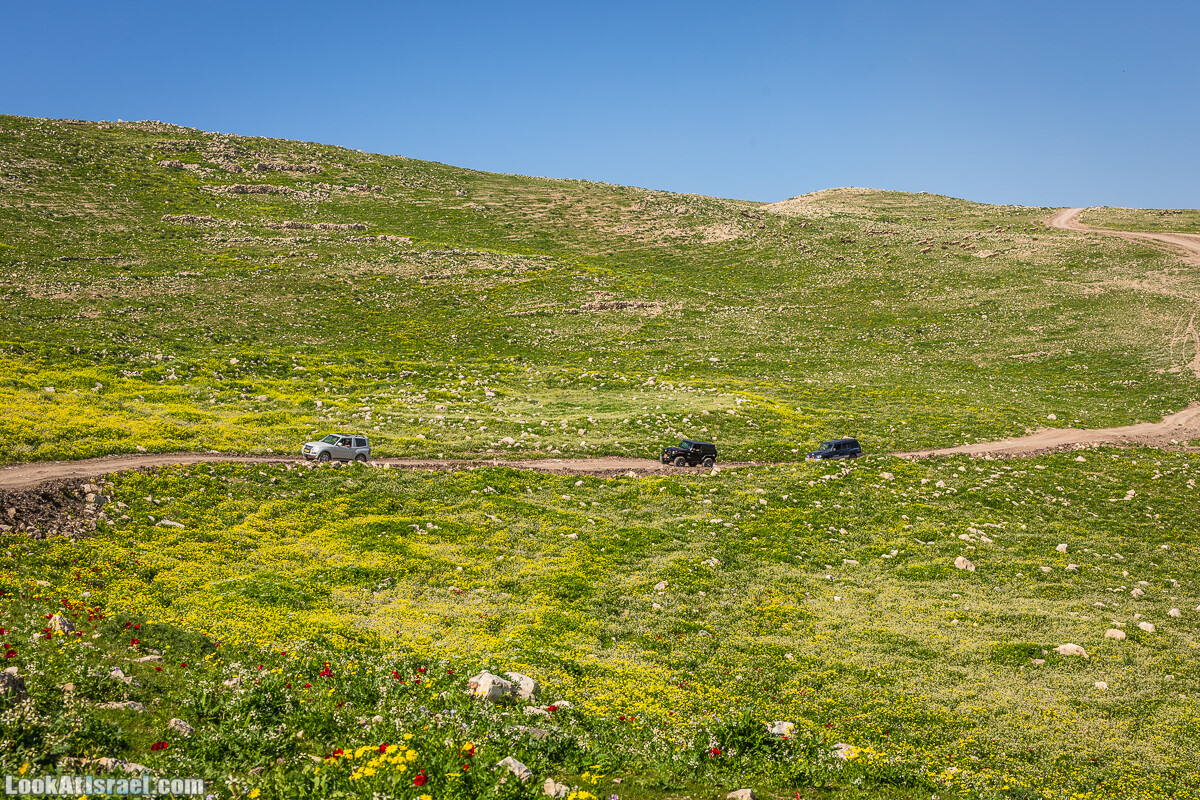 Путешествие по Иудейской пустыне на джипах к горе Сартаба | LookAtIsrael.com - Фото путешествия по Израилю