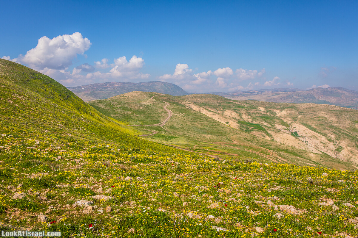 Путешествие по Иудейской пустыне на джипах к горе Сартаба | LookAtIsrael.com - Фото путешествия по Израилю