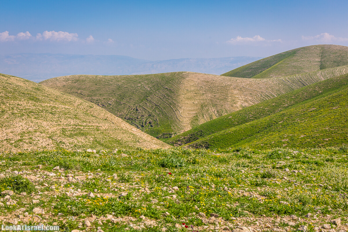 Путешествие по Иудейской пустыне на джипах к горе Сартаба | LookAtIsrael.com - Фото путешествия по Израилю