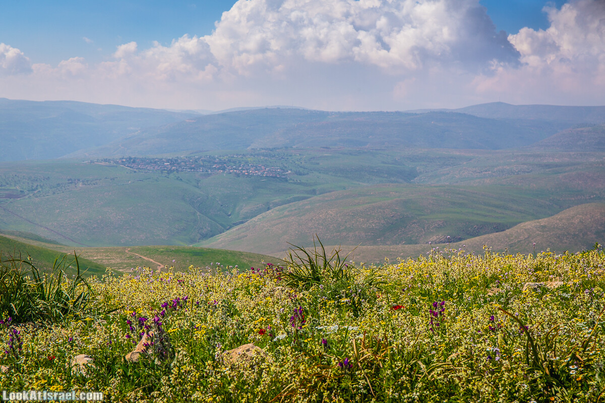 Путешествие по Иудейской пустыне на джипах к горе Сартаба | LookAtIsrael.com - Фото путешествия по Израилю