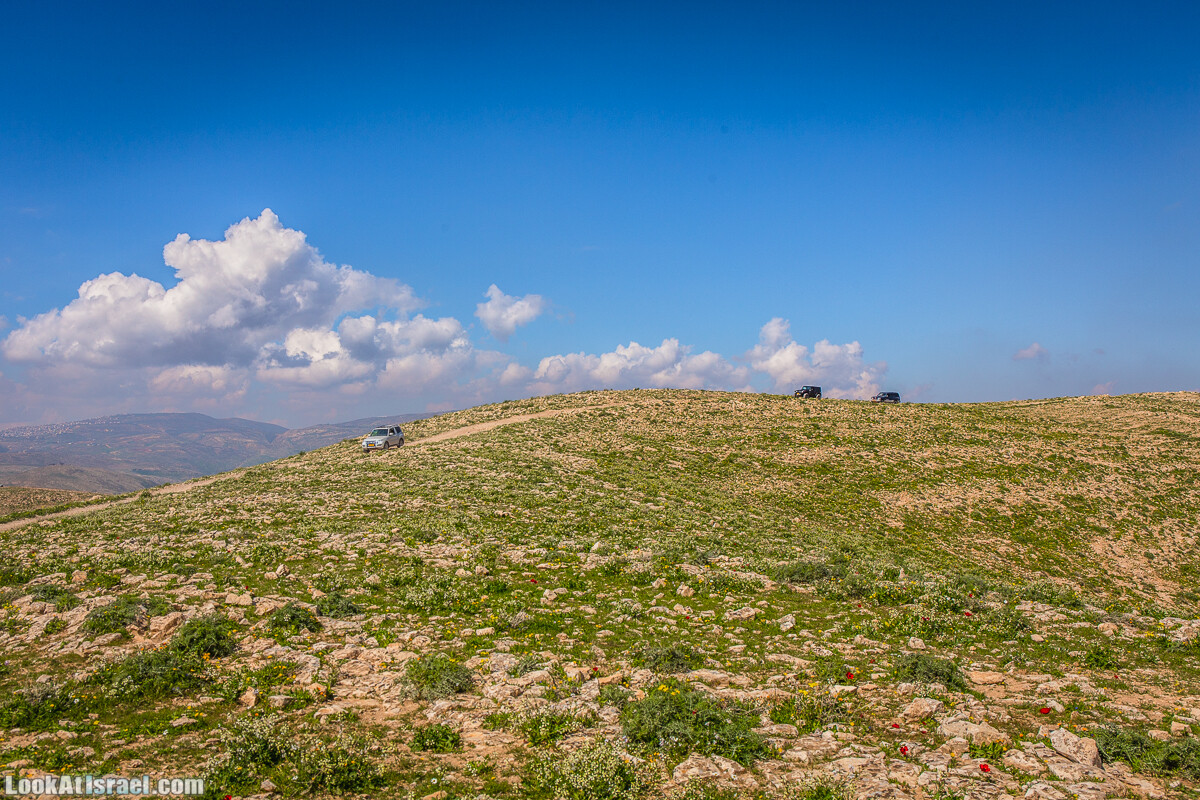 Путешествие по Иудейской пустыне на джипах к горе Сартаба | LookAtIsrael.com - Фото путешествия по Израилю