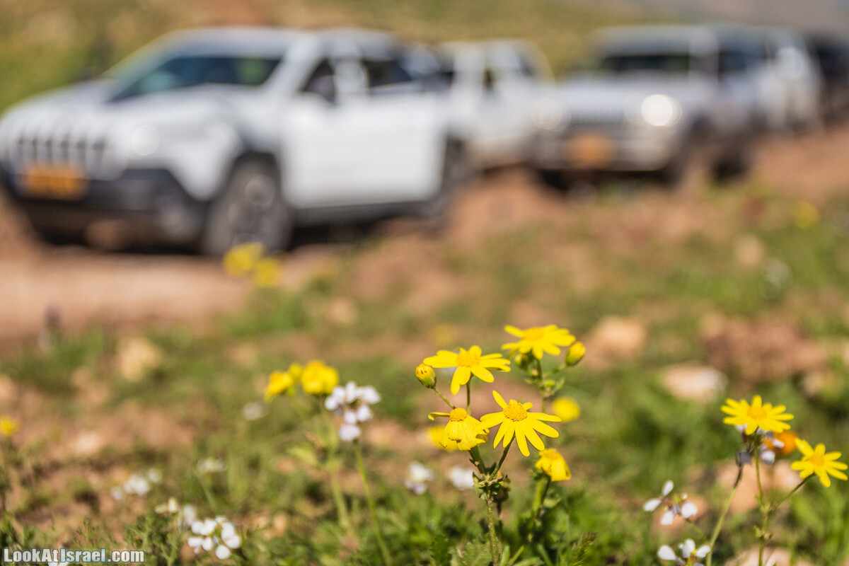 Путешествие по Иудейской пустыне на джипах к горе Сартаба | LookAtIsrael.com - Фото путешествия по Израилю